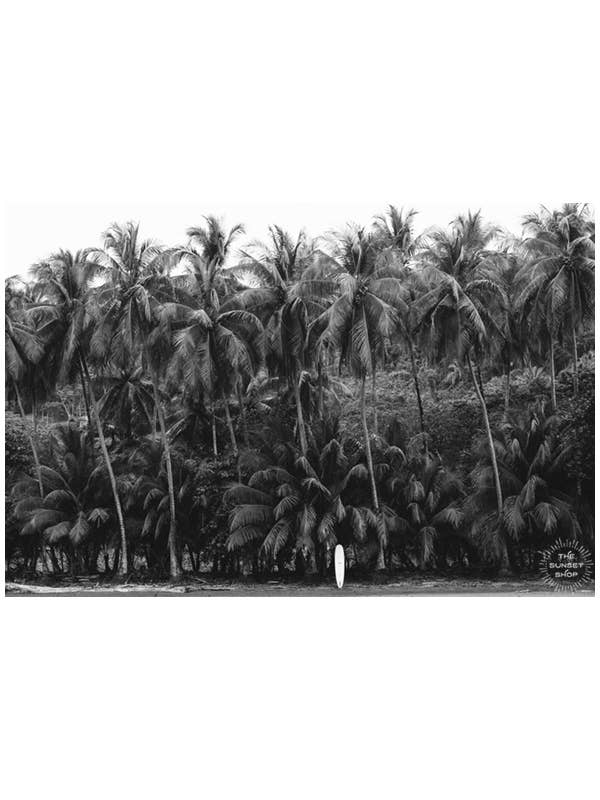 The Sunset Shop - Out of Office - Black & White: 11"x14" / Horizontal