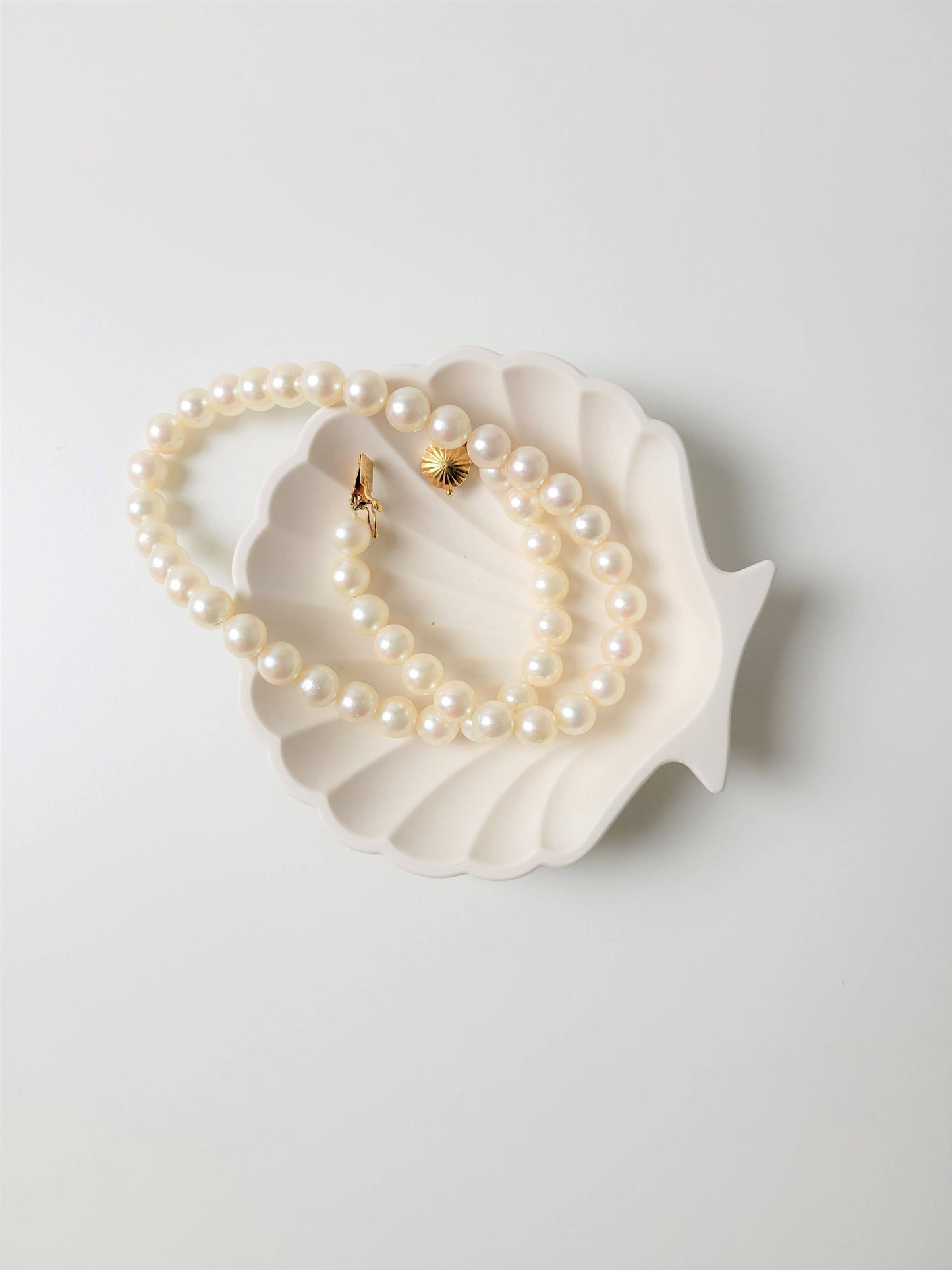 Three Springs Candle Co. - Sea Shell trinket dish | jewelry tray