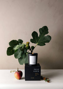 Cedar and Myrrh - Bougie Parfumée_Figue Verte