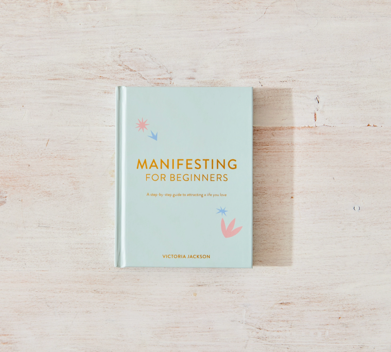 Thought Catalog - Manifesting For Beginners - book