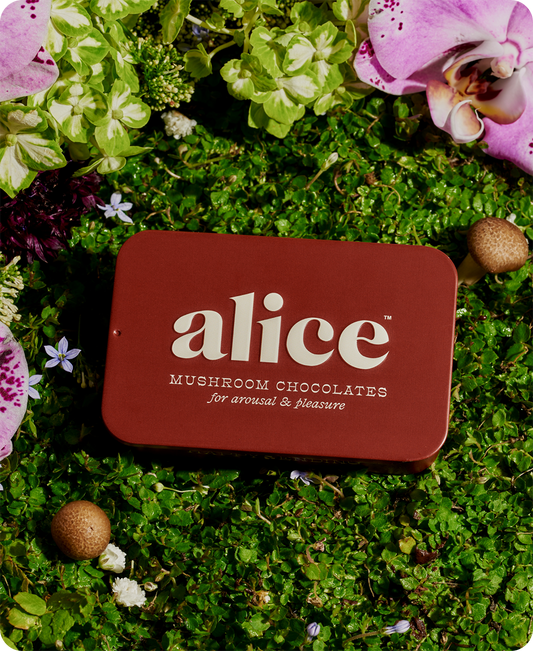 Alice Mushrooms - Happy Ending - mushroom chocolate for arousal